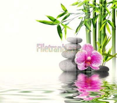 Download file gốc Tranh trang trí Spa làm đẹp MP206 (in lụa) nghệ thuật