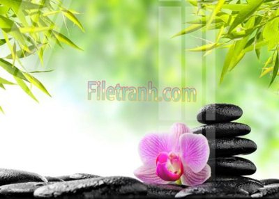 File gốc Tranh trang trí Spa làm đẹp MP207 (in lụa) hoa văn cổ điển