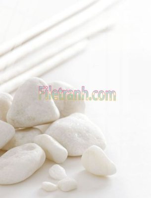 File ảnh Tranh trang trí Spa làm đẹp MP216 (gốc) in biển hiệu