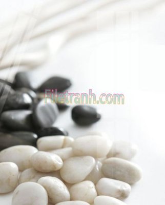 File gốc Tranh trang trí Spa làm đẹp MP218 (cho in ấn) từ kho Filetranh