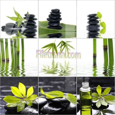 Download file Tranh trang trí Spa làm đẹp MP245 (gốc) in mica ốp bếp