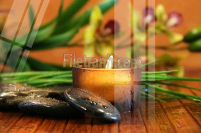 File PSD Tranh trang trí Spa làm đẹp MP247 (gốc) tách lớp chi tiết