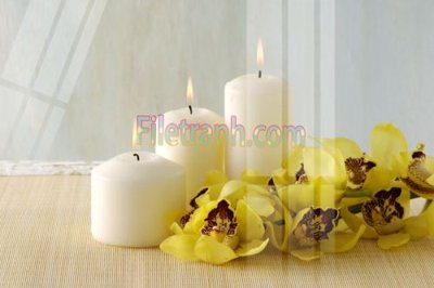 Tải file Tranh trang trí Spa làm đẹp MP253 (gốc) in ấn chất lượng