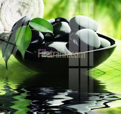 File ảnh Tranh trang trí Spa làm đẹp MP300 (gốc) in poster