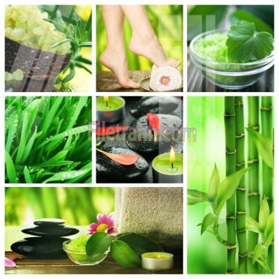 Download file gốc Tranh trang trí Spa làm đẹp MP311 (in mica) logo