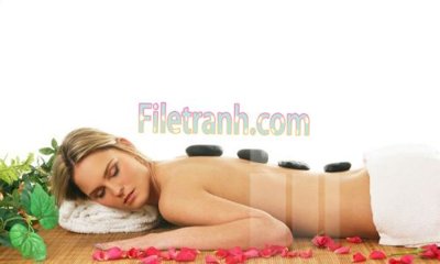 File gốc Tranh trang trí Spa làm đẹp MP334 (PNG) chất lượng cao
