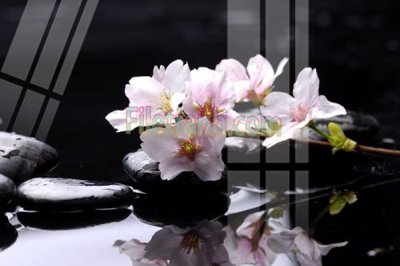 File ảnh Tranh trang trí Spa làm đẹp MP367 (gốc) cho trang trí nội thất