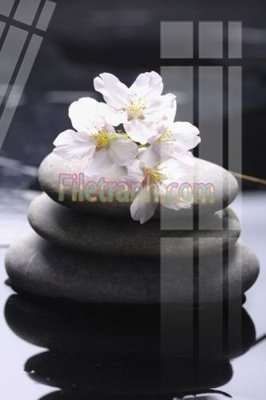 Tệp tin gốc Tranh trang trí Spa làm đẹp MP368 (chất lượng) Tranh trang trí Spa làm đẹp MP368