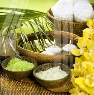 File tranh Tranh trang trí Spa làm đẹp MP420 (gốc) chủ đề trừu tượng