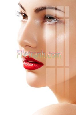 File in lụa Tranh trang trí Spa làm đẹp MP430 (hoa văn) Tranh trang trí Spa làm đẹp MP430