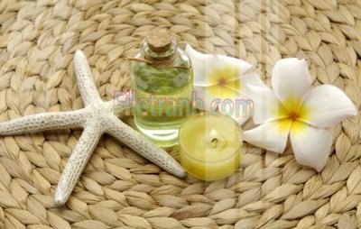 File tranh Tranh trang trí Spa làm đẹp MP458 (file gốc) chủ đề phong thủy