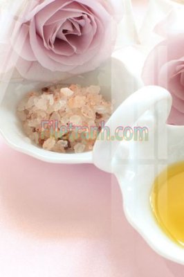 File in lụa Tranh trang trí Spa làm đẹp MP484 (tân cổ điển) Tranh trang trí Spa làm đẹp MP484