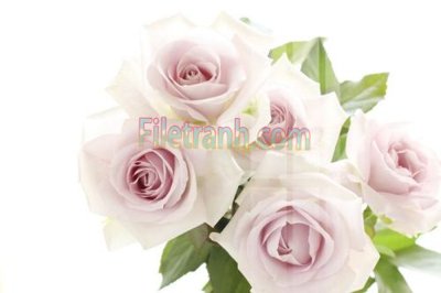 File ảnh Tranh trang trí Spa làm đẹp MP485 (gốc) in PP, decal