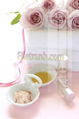 File tranh Tranh trang trí Spa làm đẹp MP488 (gốc) chủ đề tĩnh vật