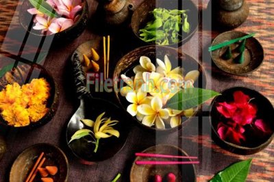 File in mica Tranh trang trí Spa làm đẹp MP520 (bản gốc) siêu trong