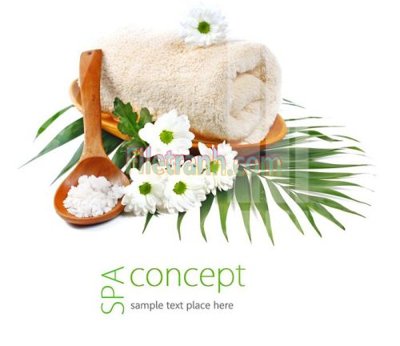 File tranh Tranh trang trí Spa làm đẹp MP550 (gốc) chủ đề tĩnh vật