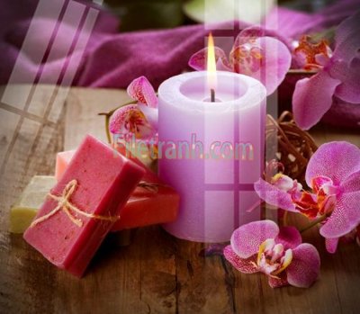 Tải file gốc Tranh trang trí Spa làm đẹp MP562 (in khổ lớn) không mờ