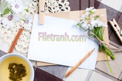 File tranh PSD Tranh trang trí Spa làm đẹp MP565 chất lượng cao