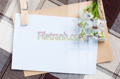 File tranh gốc Tranh trang trí Spa làm đẹp MP567 (bản quyền) độc đáo