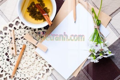 File ảnh Tranh trang trí Spa làm đẹp MP568 (gốc) cho trang trí nội thất