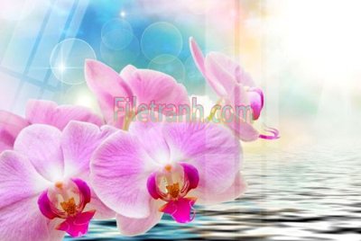 File tranh gốc Tranh trang trí Spa làm đẹp MP622 (bản quyền) Filetranh.com