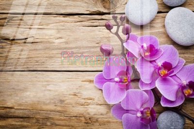 File tranh Tranh trang trí Spa làm đẹp MP623 (ảnh gốc) in trần nhà