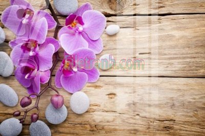 File gốc Tranh trang trí Spa làm đẹp MP624 (ảnh chi tiết) để in trần