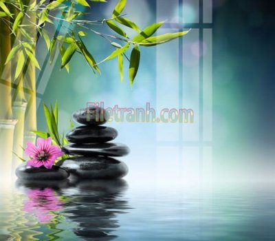 Mua file ảnh gốc Tranh trang trí Spa làm đẹp MP635 (chất lượng cao)