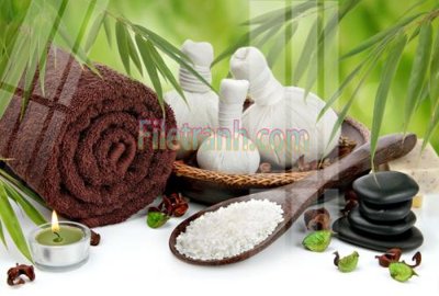 File gốc Tranh trang trí Spa làm đẹp MP637 (ảnh chi tiết) để in ấn