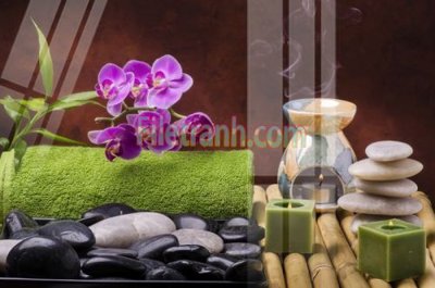 File tranh gốc Tranh trang trí Spa làm đẹp MP642 (bản quyền) độc đáo