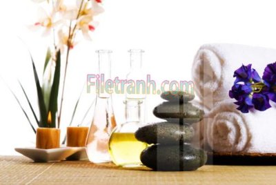 Mua file gốc Tranh trang trí Spa làm đẹp MP649 (in ấn) tại Filetranh.com