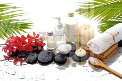 File gốc Tranh trang trí Spa làm đẹp MP661 (thiết kế) cho in ấn