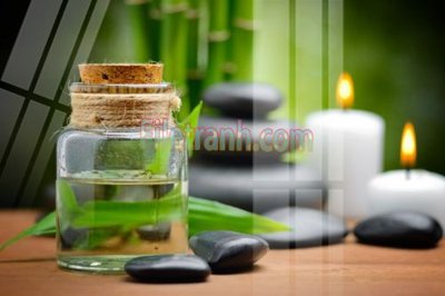 File gốc Tranh trang trí Spa làm đẹp MP671 (phong cách) châu Âu