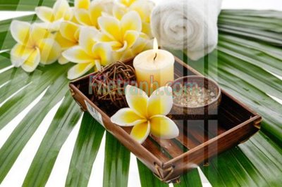 Tải file Tranh trang trí Spa làm đẹp MP695 (gốc) làm file tranh quảng cáo