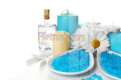 File in ấn cao cấp Tranh trang trí Spa làm đẹp MP701 (file gốc)