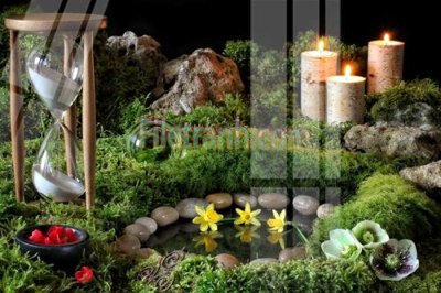 Download file Tranh trang trí Spa làm đẹp MP718 (gốc) in mica ốp bếp