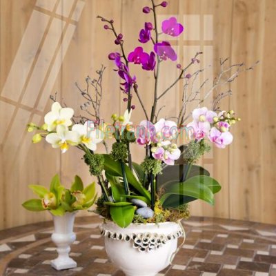 File PSD in ấn Tranh trang trí Spa làm đẹp MP724 (chất lượng cao)