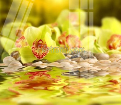 File tranh PSD Tranh trang trí Spa làm đẹp MP734 chất lượng cao