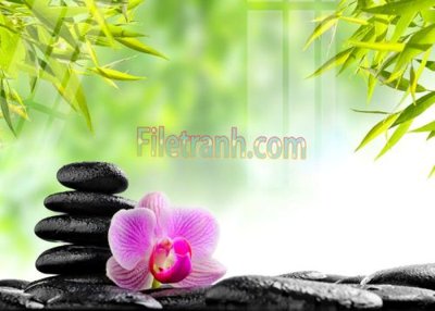 File gốc Tranh trang trí Spa làm đẹp MP738 (phong cách) tối giản