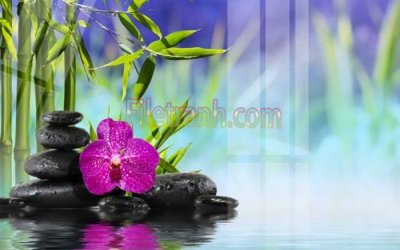 File in trần Tranh trang trí Spa làm đẹp MP755 (file gốc) chủ đề vũ trụ