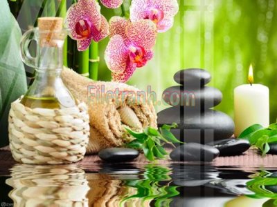 File in trần Tranh trang trí Spa làm đẹp MP761 (bản gốc) 5D