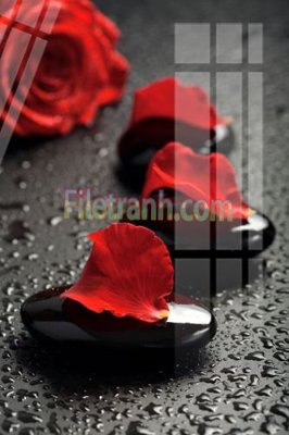 Hình ảnh file gốc in lụa Tranh trang trí Spa làm đẹp MP763