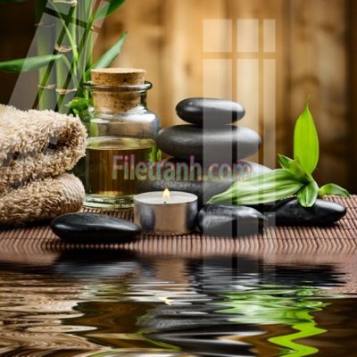 File gốc Tranh trang trí Spa làm đẹp MP785 (in ấn) màu sắc trung thực