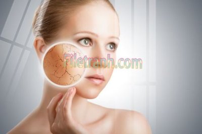 File in ấn Tranh trang trí Spa làm đẹp MP831 chuyên nghiệp