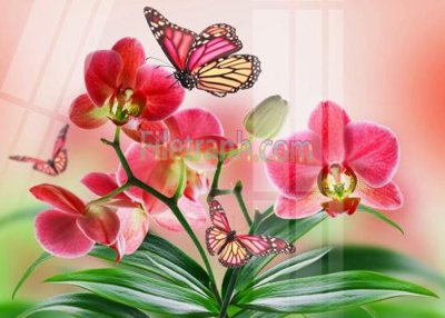 File PSD Tranh trang trí Spa làm đẹp MP840 (nguyên bản) cho thiết kế