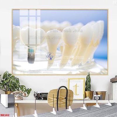 File in mica File gốc tranh in nha khoa NK102 (bản gốc) siêu trong