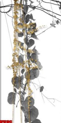 Tải file file tranh bộ decor in treo tường tráng gương OPIC1041 (gốc) làm file in ấn