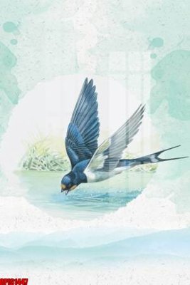 File in ấn chuyên nghiệp file tranh bộ decor in treo tường tráng gương OPIC1447 (file gốc)