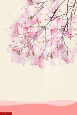 File tranh trang trí file tranh bộ decor in treo tường tráng gương OPIC1526 (tải file gốc)