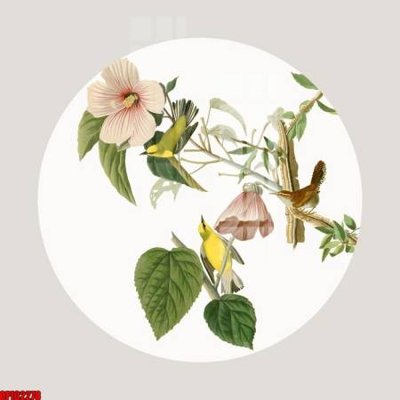 File in mica file tranh bộ decor in treo tường tráng gương OPIC2278 (ảnh gốc) đẹp